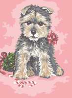 6.277 - животни