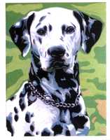 15.286 - Животни