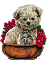 43.204 - Животни