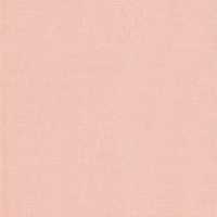 25 каунта / 45х50см / 4094