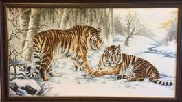 Тигри в снега