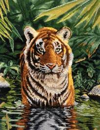 Тигър в реката