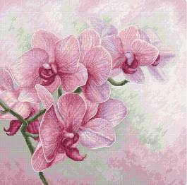 B7009 Грациозна орхидея 